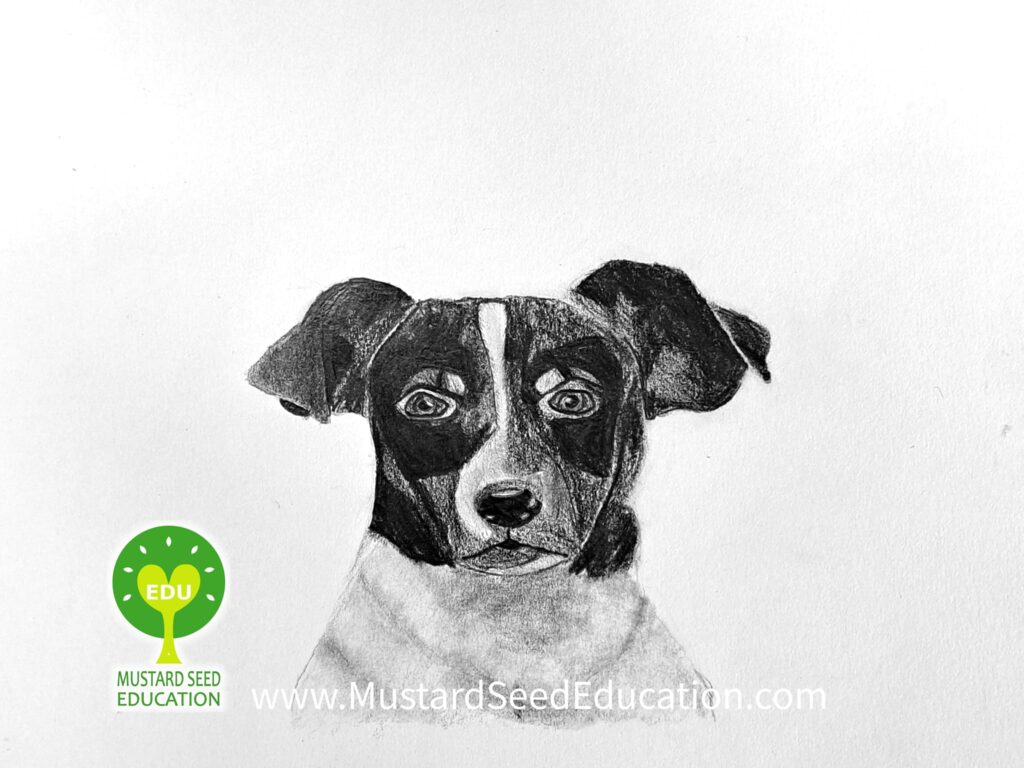 mustard seed education art class
