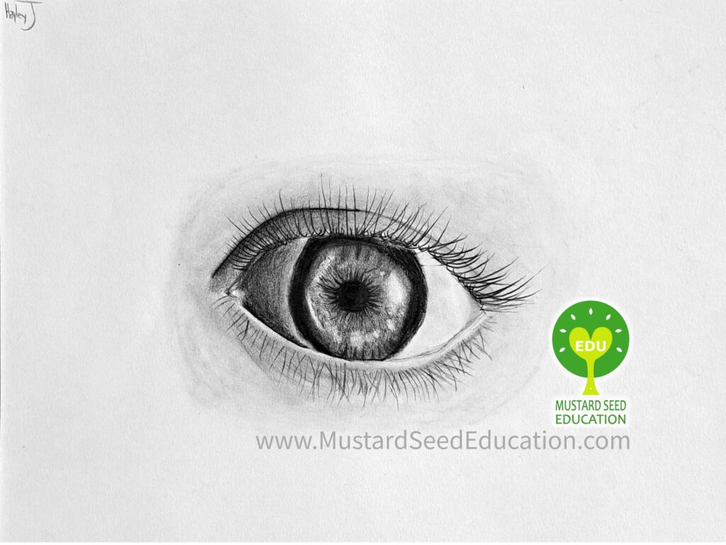 mustard seed education art class