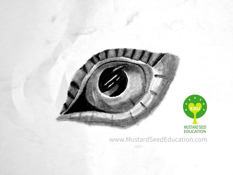 mustard seed education art class