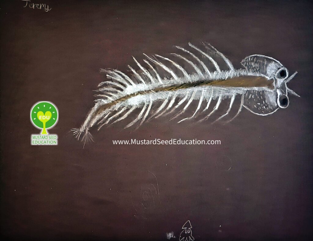 mustard seed education art class